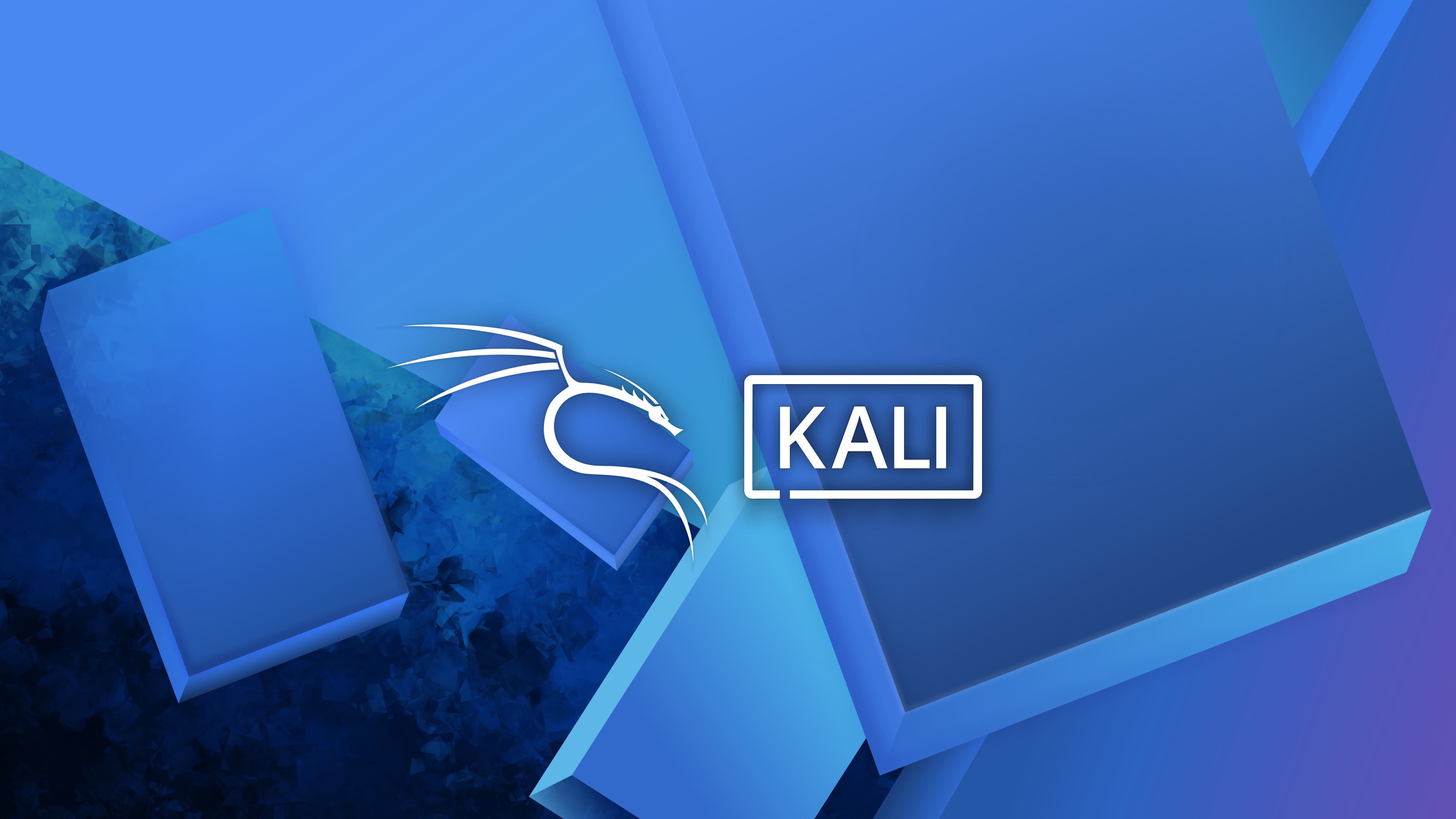Kali Linux Setup For CTF